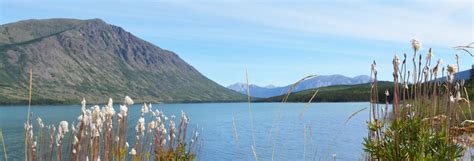 carcross tagish limited partnership|About Us – Carcross/Tagish First Nation .